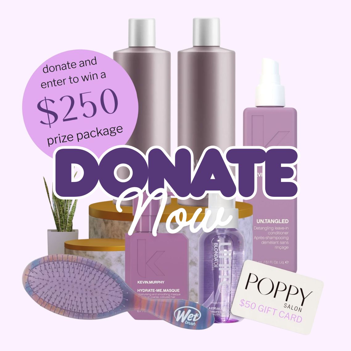 Anna Marie's Donation